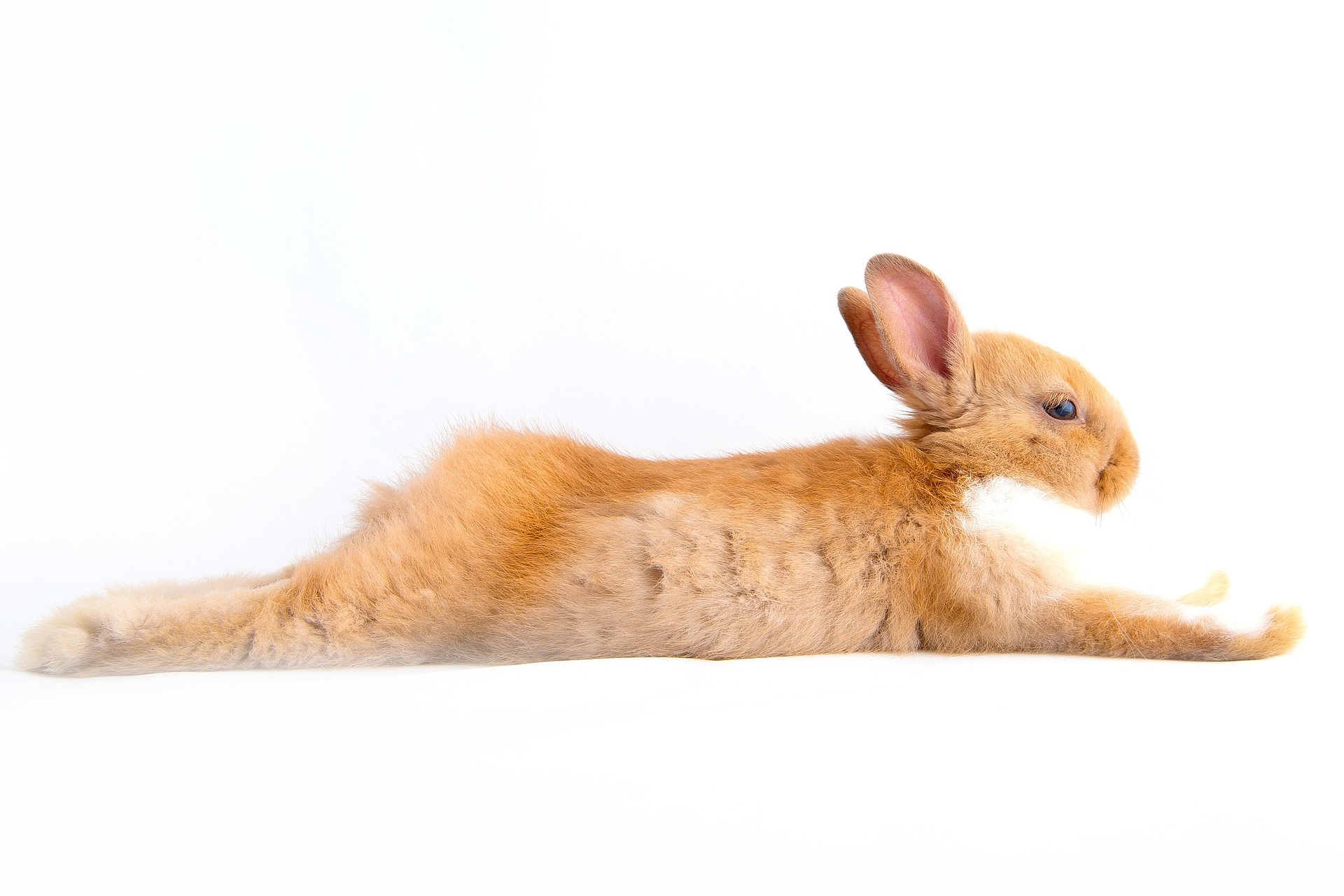 Ostern. Geschafft.